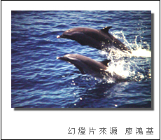 海島與海洋通識講座