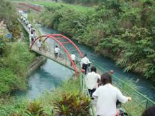 學生依序將腳踏車遷往吉安大圳單車步道